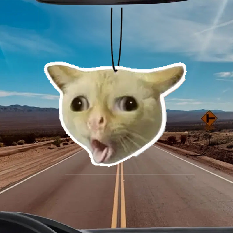 AURA – Crazy Cat